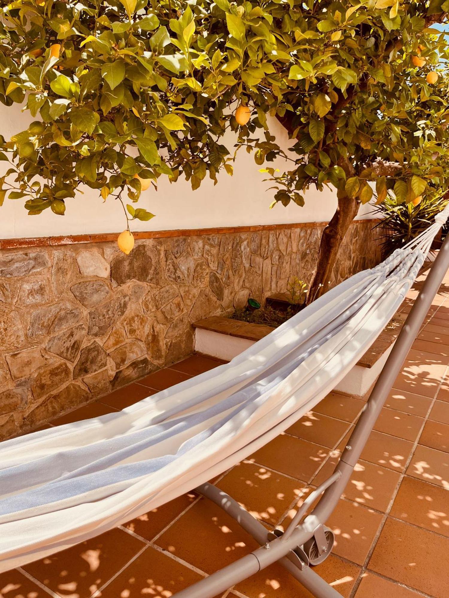Casa Limon, Boutique Bed And Breakfast, Adults Only Alhaurín el Grande エクステリア 写真
